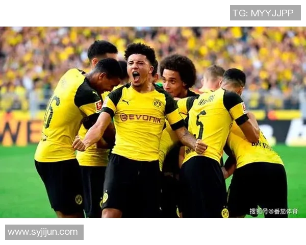 热火与黄蜂精彩对决回顾CCTV2017赛季经典时刻全解析